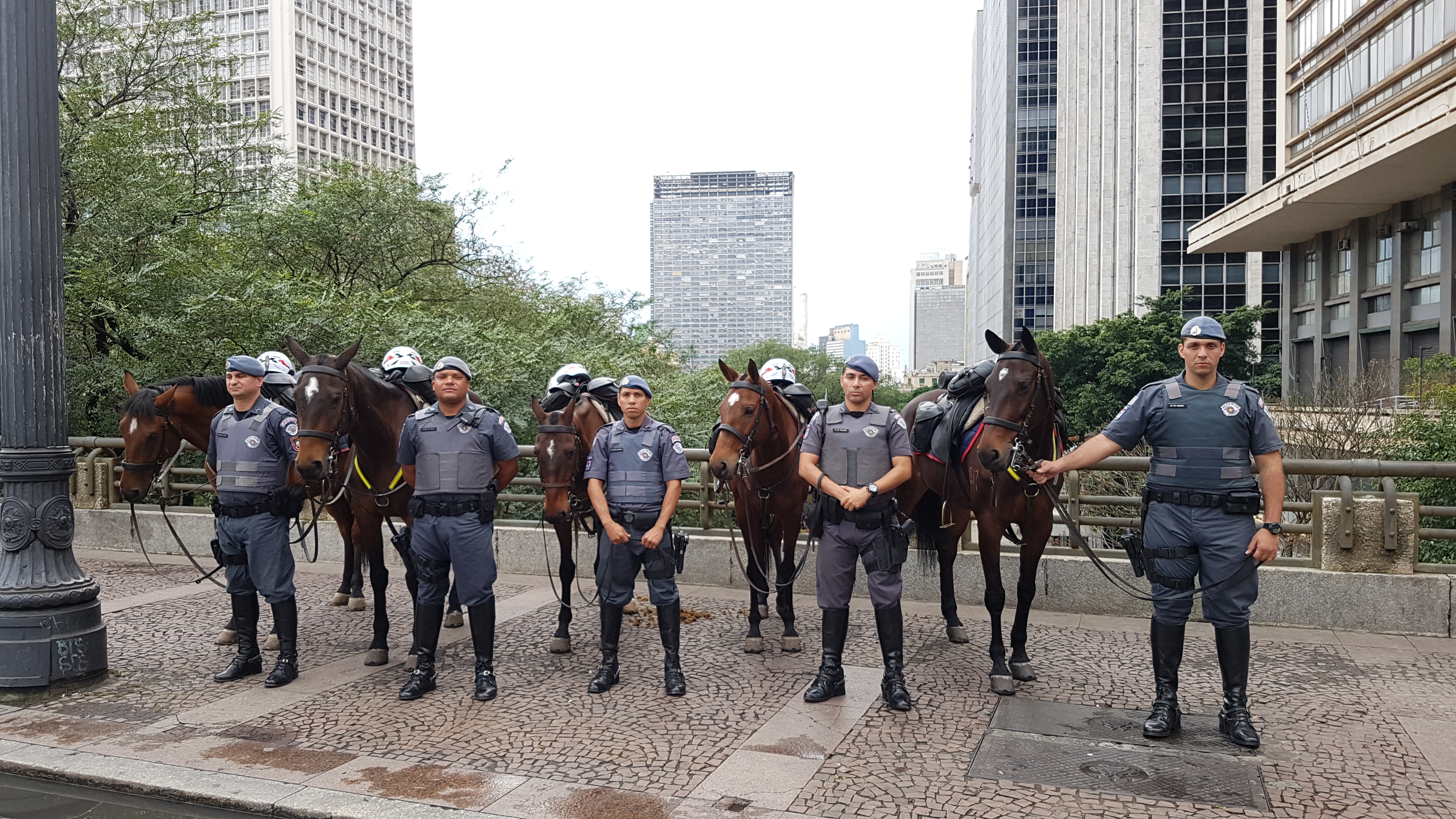 Foto colorida da Cavalaria